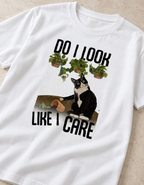 Unbothered Cat