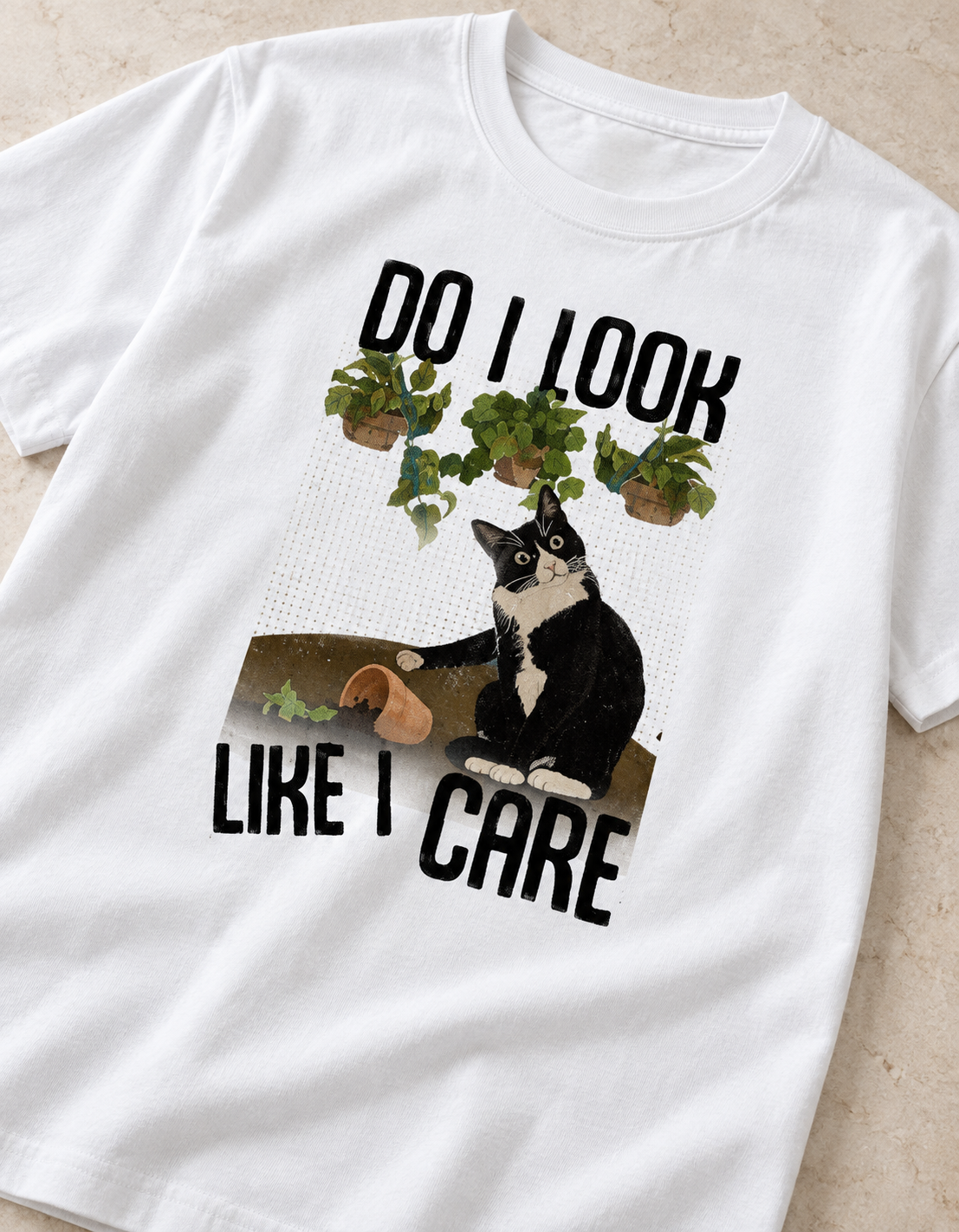 Unbothered Cat